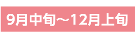 9月中旬～12月上旬