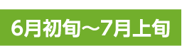 6月初旬～7月上旬