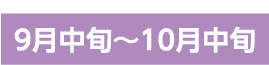9月中旬～10月中旬