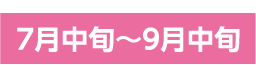 7月中旬～9月中旬